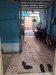 Nhà Hiệp Thành 26 Q12, 21m2, 2T, 6x4m
