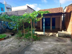 Nhà vườn Đ.6m 154m2, nở hậu Tô Ký HM