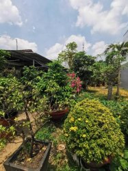 Đất hẻm xe hơi 164m2, nở hậu Nguyễn Văn Bứa HM