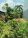 Đất hẻm xe hơi 164m2, nở hậu Nguyễn Văn Bứa HM