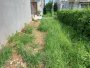 Đất Bùi Công Trùng Q12, 154m2, 4.5x35m, Đ.4m