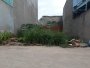 Giảm 210tr Đất An Phú Đông 25 Q12, 100m2, 5x20m