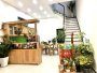 Giảm 700tr! Nhà 4T 92m2, Đ.5m An Phú Đông 25 Q12