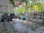 Giảm 1.3 tỷ Nhà vuông 3T mặt tiền Thạnh Lộc 16 Q12, 110m2, 8x14m