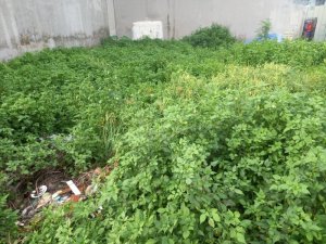 Đất mặt tiền 100m2, Đ.5m Thạnh Lộc 27 Q12