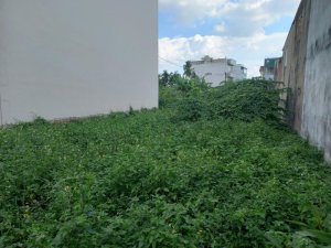 Đất An Phú Đông 9 Q12, 195m2, 8x25m