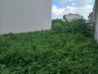 Đất An Phú Đông 9 Q12, 195m2, 8x25m