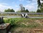 Đất vuông Đường Ba Sa Củ Chi, 99m2, 5x20m