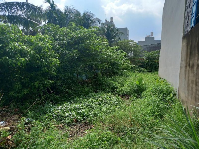 Đất hậu nở An Phú Đông 9 Q12, 511.5m2, 8.6x42m