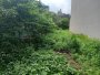 Đất hậu nở An Phú Đông 9 Q12, 511.5m2, 8.6x42m