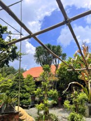 2 Nhà Vuông gỗ Sân vườn 1257m2, hậu nở, Đ.10m Nguyễn Thị Chì công chứng