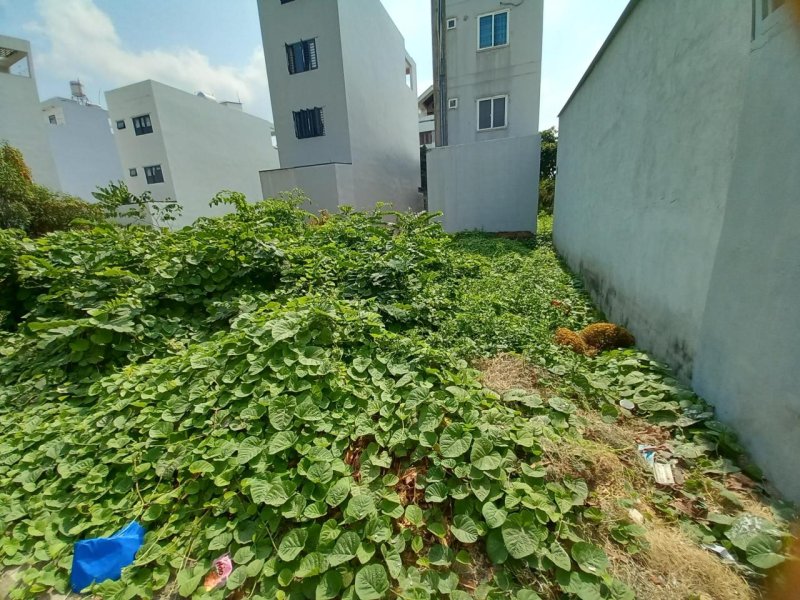 Đất vuông 81m2 Vườn Lài Q12