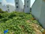 Đất vuông 81m2 Vườn Lài Q12
