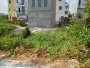 Đất Vuông Võ Thị Thừa Q12, 50m2, 5x10m chỉ 3.x tỷ