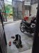 Nhà Vuông chợ chữ S Trần Văn Mười HM, 105m2, 5.2x21m