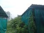 Giảm 100tr Đất Vuông 2 MH Thạnh Xuân 24 Q12, 157m2, 4x38m