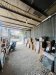 Nhà Vuông Tô Ký Q12, 177m2, 5x37m chỉ 4.x tỷ