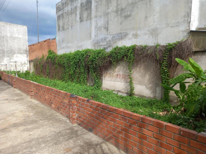 Đất Vuông An Phú Đông 3 Q12, 111m2, 4.5x25m chỉ 4.x tỷ