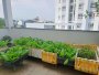 Giảm 100tr Nhà Vuông 3T hậu nở Vườn Lài Q12, 81m2, 4x23m