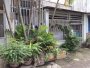 nhà C4 Vuông 54m2, Đ.4m Vườn Lài Q12