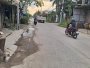 Nhà Vuông 2T Thạnh Xuân 52 Q12, 63m2, 4x16m chỉ 3.x tỷ