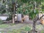 Nhà vườn MT 988m2, nở hậu, Đ.10m Dương Công Khi HM