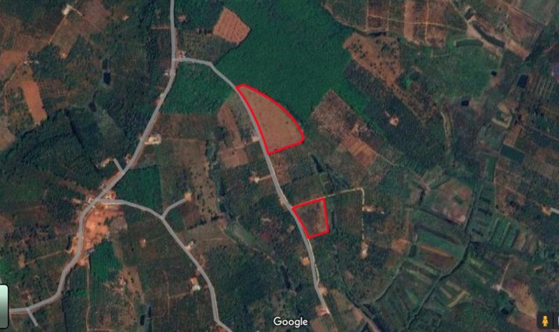 20 lô Đất 1315m2, Đ.6m Đắk Wer Đắk Nông