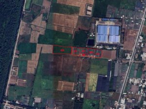 Rẻ! Đất 1.6Ha 2.65tr/m2 Xuân Thới Thượng 2 HM