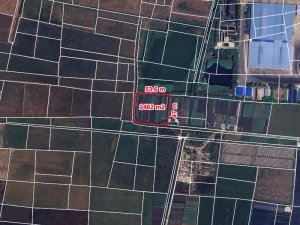 Rẻ! Đất 2.5tr/m2 0.25Ha Xuân Thới Thượng 2 HM