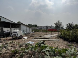 Đất 305m2, N.hậu, Đ.6m Vườn Lài Q12