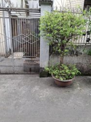 Đất vuông 50m2, Đ.3.5m Lê Đức Thọ GV