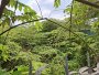 Giảm 4tỷ! Đất MT 995m2, Vuông, Đ.14m Thạnh Xuân 52 Q12