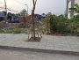 7 lô đất mặt tiền 2 mặt thoáng Thạnh Lộc 31, Đ.8m Q12