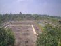 Quá rẻ Đất 0.5Ha, nở hậu, Đ.4m Trường Đông TN