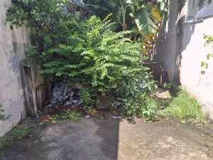 Đất vuông 76m2, Vuông, Đ.5m Hà Huy Giáp Q12