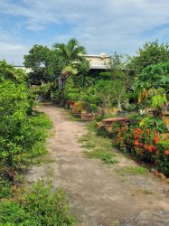 Đất Vườn HXT 722m2, N.hậu Xuân Thới Thượng 2 HM
