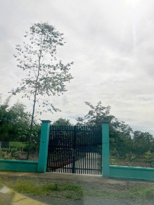 Đất hậu nở Đ. 8m thông 1851m2 Cây Gõ công chứng
