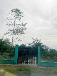 Đất hậu nở Đ. 8m thông 1851m2 Cây Gõ công chứng