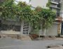 Nhà Vuông 2 tầng hẻm XH tránh 64m2 Nguyễn Xí Bình Thạnh