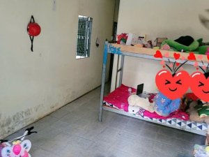 Nhà Vuông sổ hồng riêng hẻm xe hơi né 103m2 Lê Đức Thọ Gò Vấp