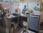 Nhà sổ hồng riêng 2T 32m2 Bùi Thế Mỹ Tân Bình