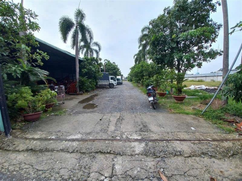 1.1Ha Đất mặt tiền sổ hồng riêng, hậu nở Phạm Thị Giây Hóc Môn