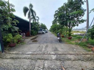 1.1Ha Đất mặt tiền sổ hồng riêng, hậu nở Phạm Thị Giây Hóc Môn
