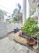 Villa 4 tầng Đ.8m, sổ hồng riêng Vuông Bình Lợi Bình Thạnh
