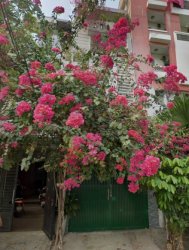 Giảm 2.5 tỷ! Nhà Vuông sổ hồng riêng 4 tầng Đ.8m 98m2 Bình Lợi Bình Thạnh