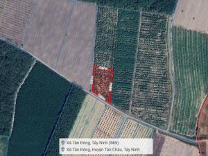 Đất 2.2 sào Mít SHR HXT DT792 Tây Ninh