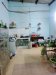 Nhà nở hậu SHR HXH 204m2 Thới Tứ 1 Hóc Môn