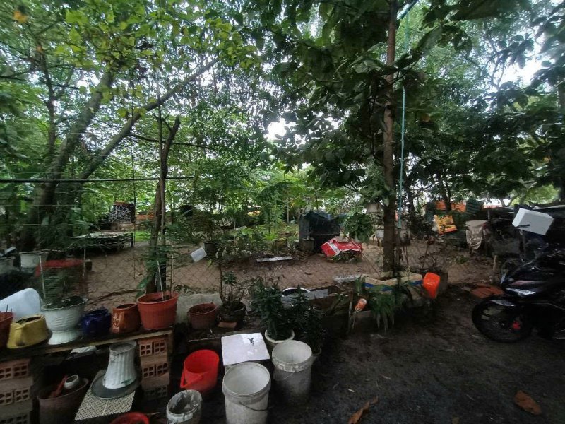 Đất Vuông SHR HXH 300m2 Tân Hiệp 4 Hóc Môn