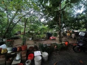Đất Vuông SHR HXH 300m2 Tân Hiệp 4 Hóc Môn