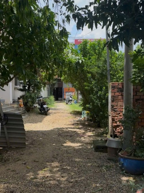 Đất MT sổ hồng riêng Đ.24m 2833m2, hậu nở nhẹ Nguyễn Ảnh Thủ Hóc Môn